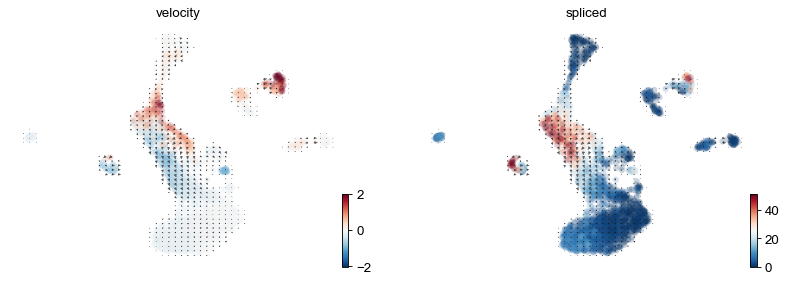 ../_images/vignettes_DentateGyrus_18_0.png