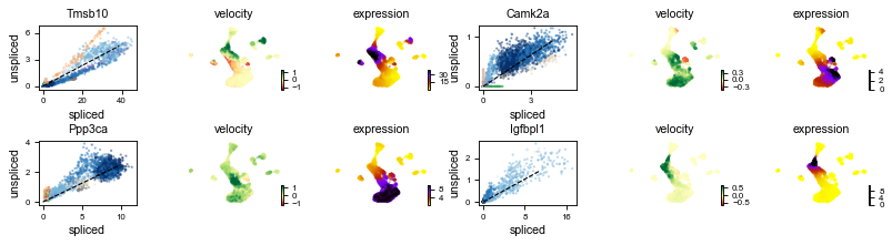 ../_images/vignettes_DentateGyrus_20_0.png