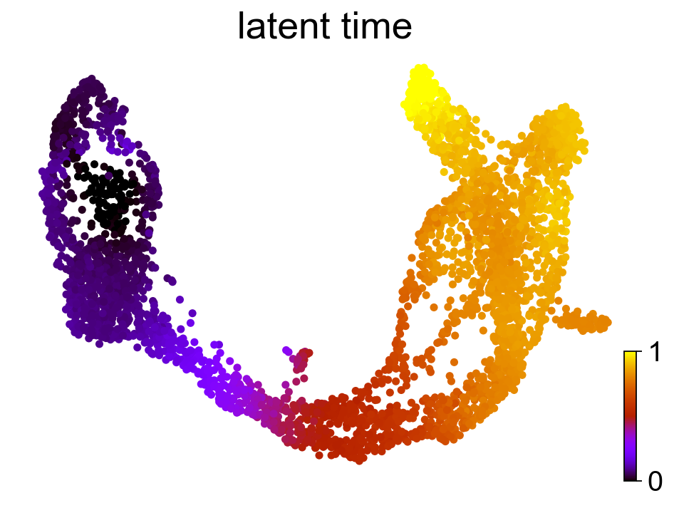 ../_images/vignettes_Fig3_pancreas_12_1.png
