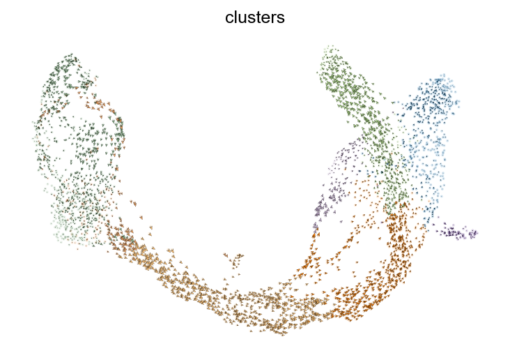 ../_images/vignettes_Pancreas_17_0.png