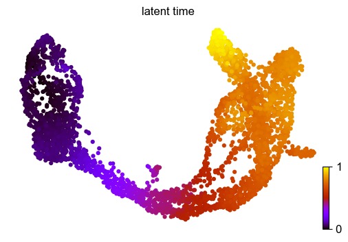 ../_images/vignettes_Pancreas_20_1.png