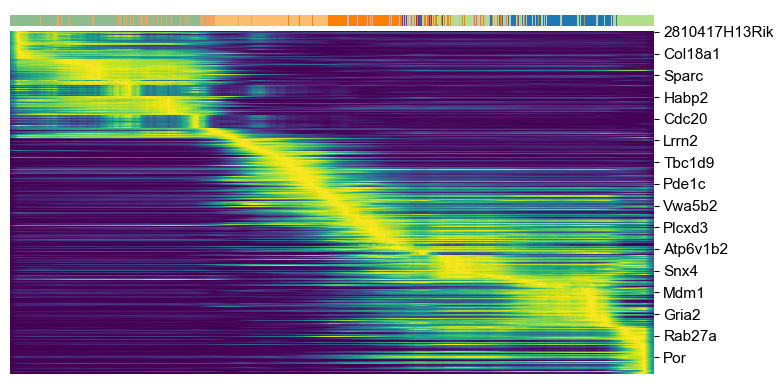 ../_images/vignettes_Pancreas_21_0.png